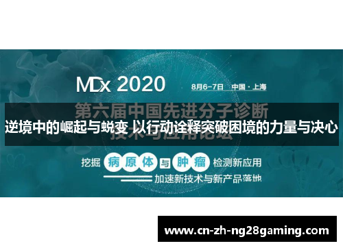 逆境中的崛起与蜕变 以行动诠释突破困境的力量与决心