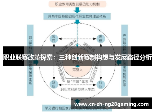 职业联赛改革探索：三种创新赛制构想与发展路径分析